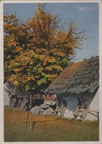 Slowakei - Stola - Herbstlicher WEinkel - ca. 1955