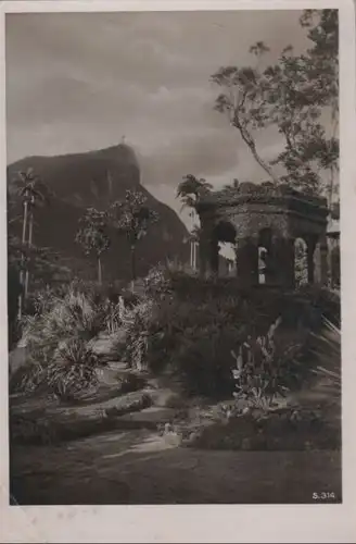 Brasilien - Brasilien - Rio de Janeiro - Jardin botanico - ca. 1940