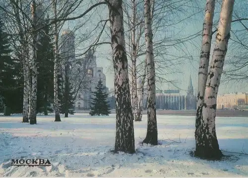 Russland - Moskau - Russland - Winter