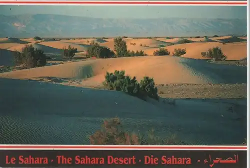 Tunesien - Tunesien - Sahara - ca. 1985