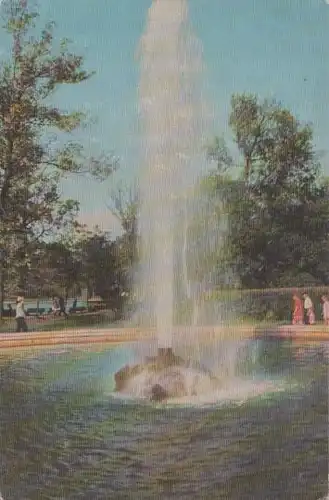 Russland - Russland - Petrodvorets - Menagerie Fountain - ca. 1975