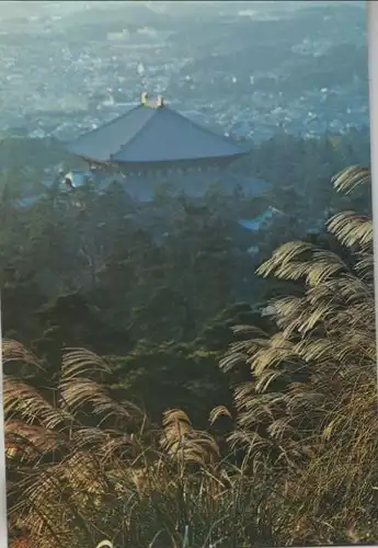 Japan - Japan - Nara - Tdaij Temple, Distant view - ca. 1990