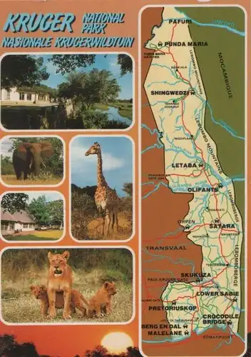 Südafrika - Südafrika - Krüger-Nationalpark - 1991