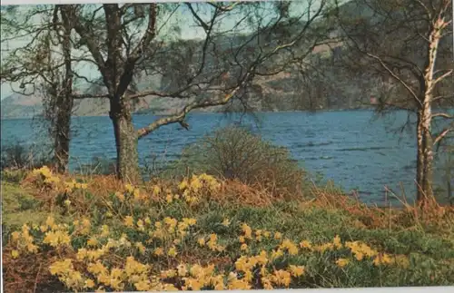 Großbritannien - Großbritannien - Ullswater - Wordworth Daffodils - 1961