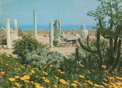 Tunesien - Karthago - Tunesien - Antiquarium