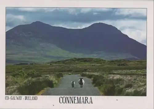 Irland - Irland - Connemara - 2011