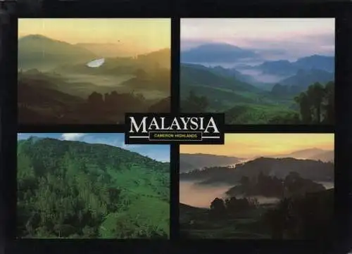 Malaysia - Cameron Highlands - Malaysia - 4 Bilder