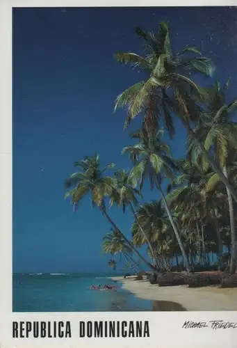 Dominikanische Republik - Allgemein - Dominikanische Republik - Palmen am Strand - Samana