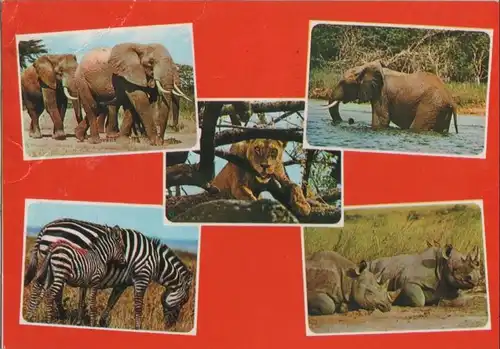 Afrika (Sonstiges) - Ostafrika - Tiere - ca. 1985