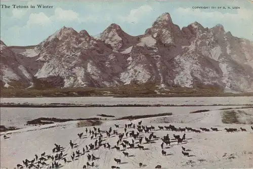 Kanada - Kanada - Kanada - The Tetons in Winter