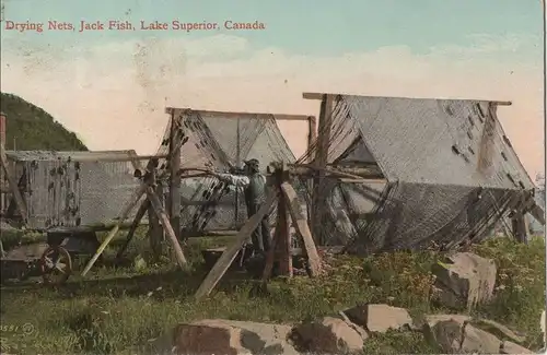 Kanada - Kanada - Kanada - Lake Superior - Drying Nets Jack Fish