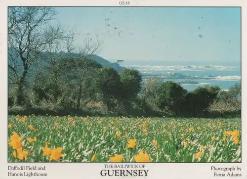 Großbritannien - Großbritannien - Guernsey - 1987