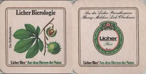 Bierdeckel quadratisch - Licher