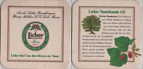 Bierdeckel quadratisch - Licher