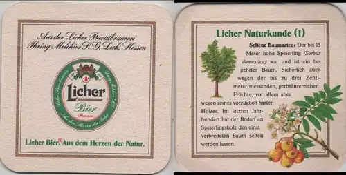 Bierdeckel quadratisch - Licher