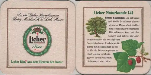 Bierdeckel quadratisch - Licher