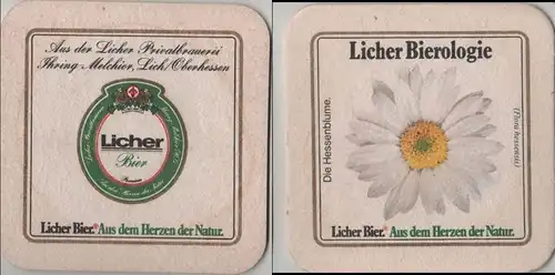 Bierdeckel quadratisch - Licher