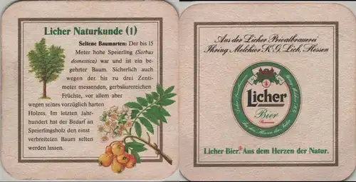 Bierdeckel quadratisch - Licher