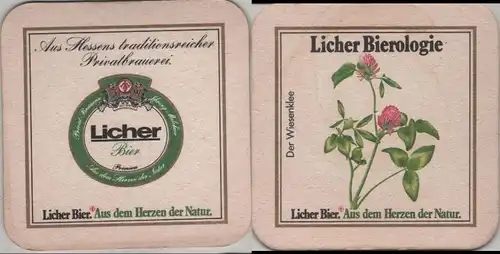 Bierdeckel quadratisch - Licher