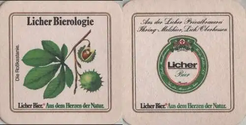 Bierdeckel quadratisch - Licher