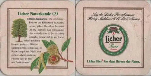 Bierdeckel quadratisch - Licher