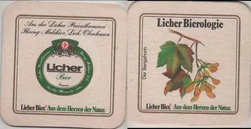 Bierdeckel quadratisch - Licher