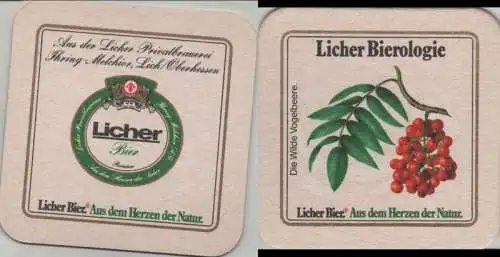 Bierdeckel quadratisch - Licher