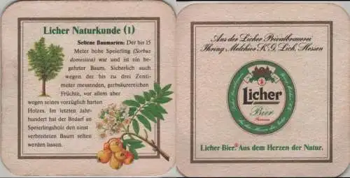 Bierdeckel quadratisch - Licher