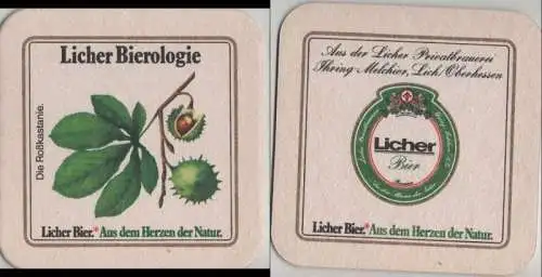 Bierdeckel quadratisch - Licher