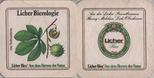 Bierdeckel quadratisch - Licher