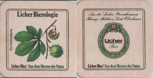 Bierdeckel quadratisch - Licher