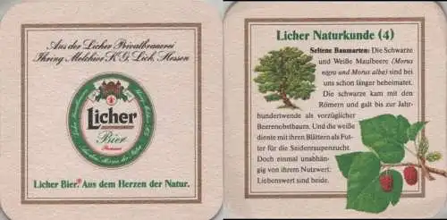 Bierdeckel quadratisch - Licher