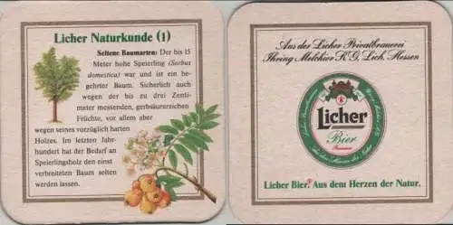 Bierdeckel quadratisch - Licher