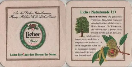 Bierdeckel quadratisch - Licher