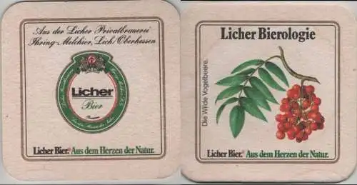 Bierdeckel quadratisch - Licher