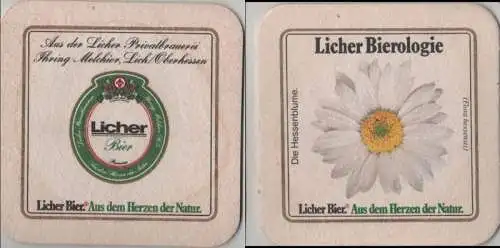 Bierdeckel quadratisch - Licher