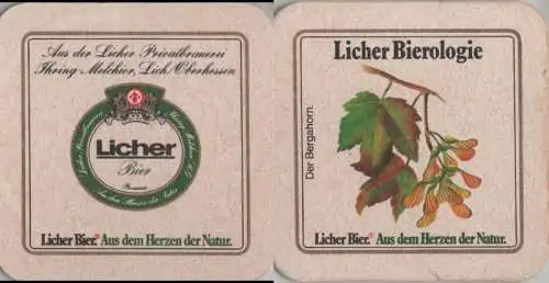 Bierdeckel quadratisch - Licher