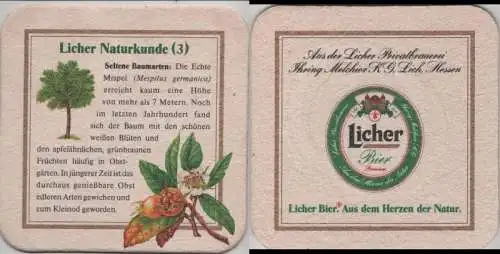 Bierdeckel quadratisch - Licher