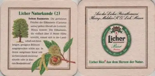 Bierdeckel quadratisch - Licher