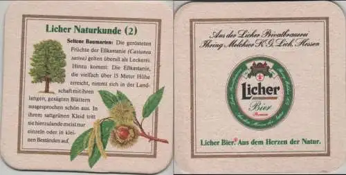 Bierdeckel quadratisch - Licher