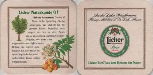 Bierdeckel quadratisch - Licher