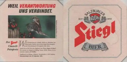 Bierdeckel quadratisch - Stiegl