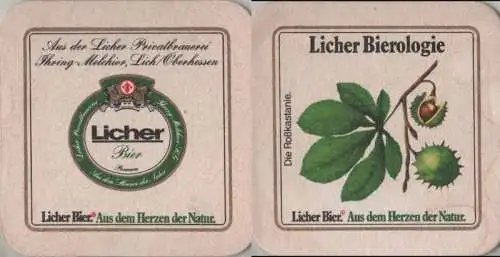 Bierdeckel quadratisch - Licher