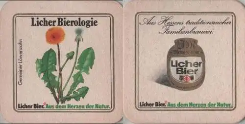 Bierdeckel quadratisch - Licher