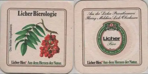 Bierdeckel quadratisch - Licher