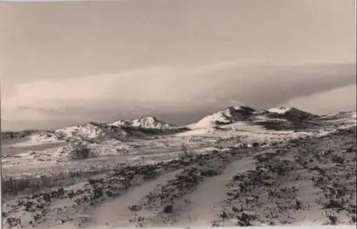 Dünen - [FOTO, KEINE AK] - 1961