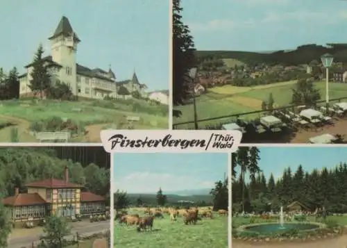 Finsterbergen - u.a. Am Rennsteig - 1967