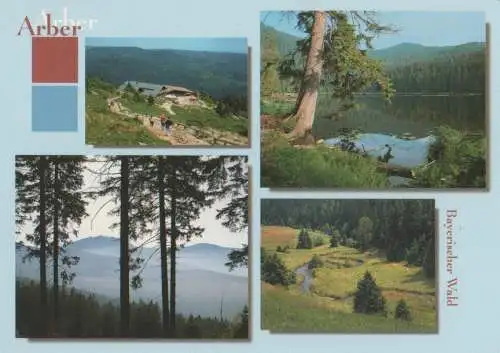 Bayerischer Wald - ca. 1995