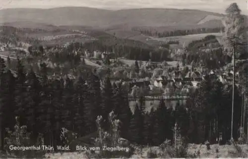 Georgenthal - Blick vom Ziegelberg