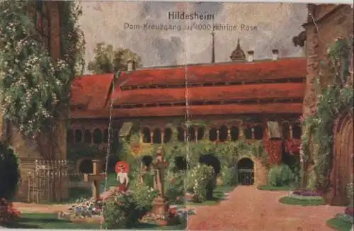 Hildesheim - Dom-Kreuzgang